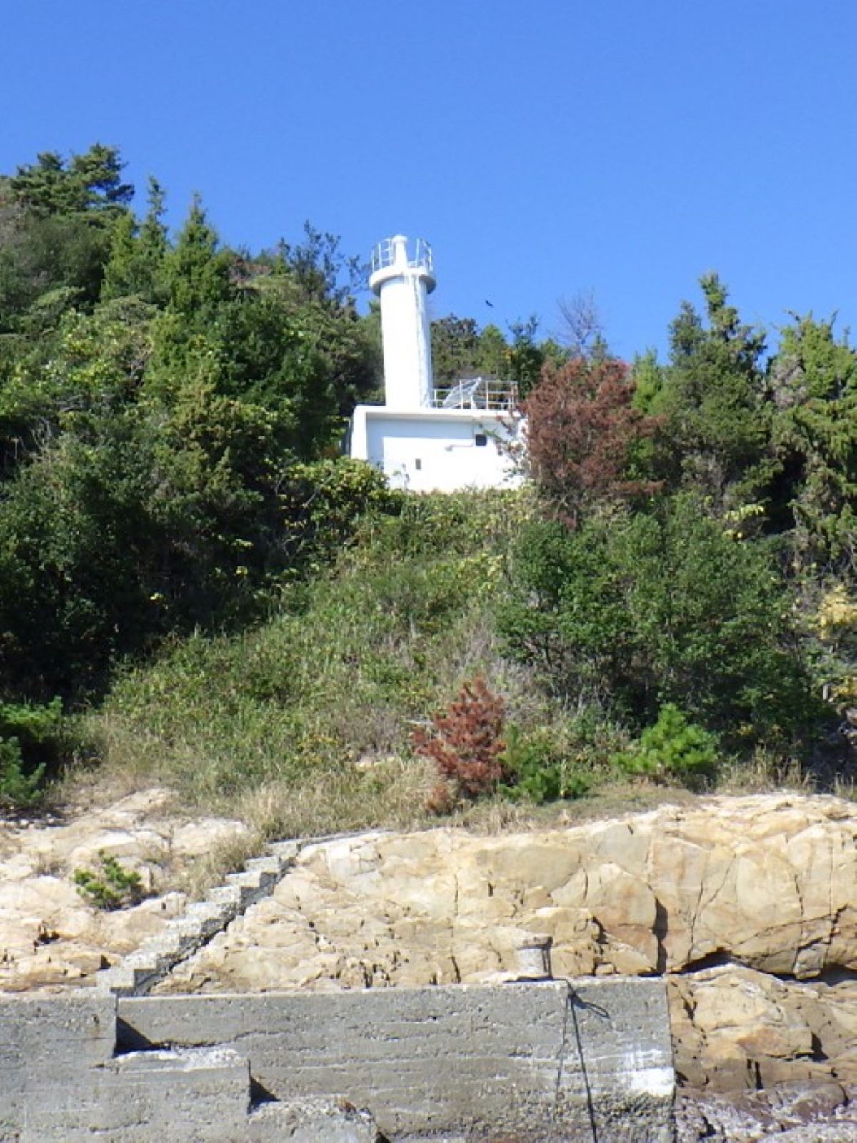 ����̊O�ώʐ^